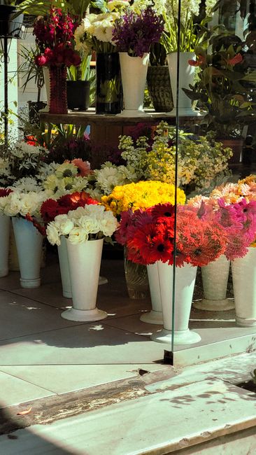 A display of various fresh floral arrangements featuring a vibrant mix of flowers including white carnations, red gerbera daisies, yellow chrysanthemums, and pink roses arranged in tall white vases an